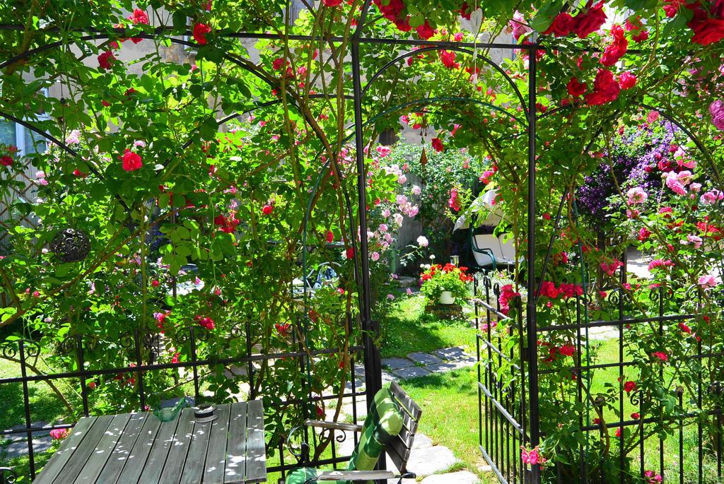 Residenza Dutzu-Boutique Hotel Brăila Kültér fotó