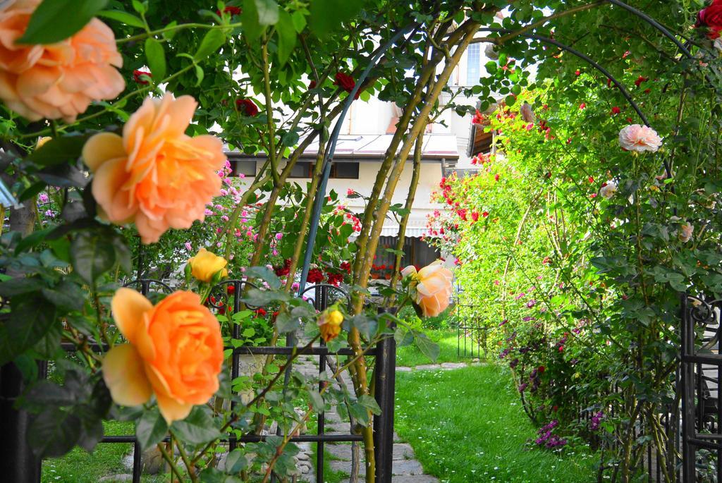 Residenza Dutzu-Boutique Hotel Brăila Kültér fotó