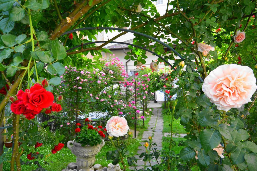 Residenza Dutzu-Boutique Hotel Brăila Kültér fotó