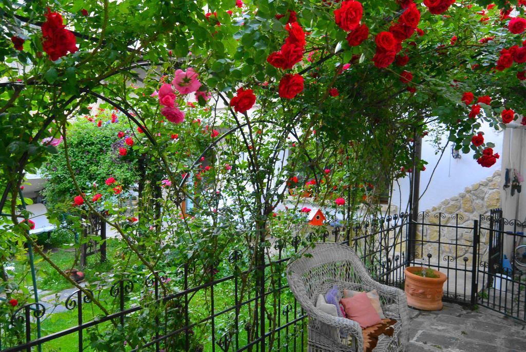 Residenza Dutzu-Boutique Hotel Brăila Kültér fotó