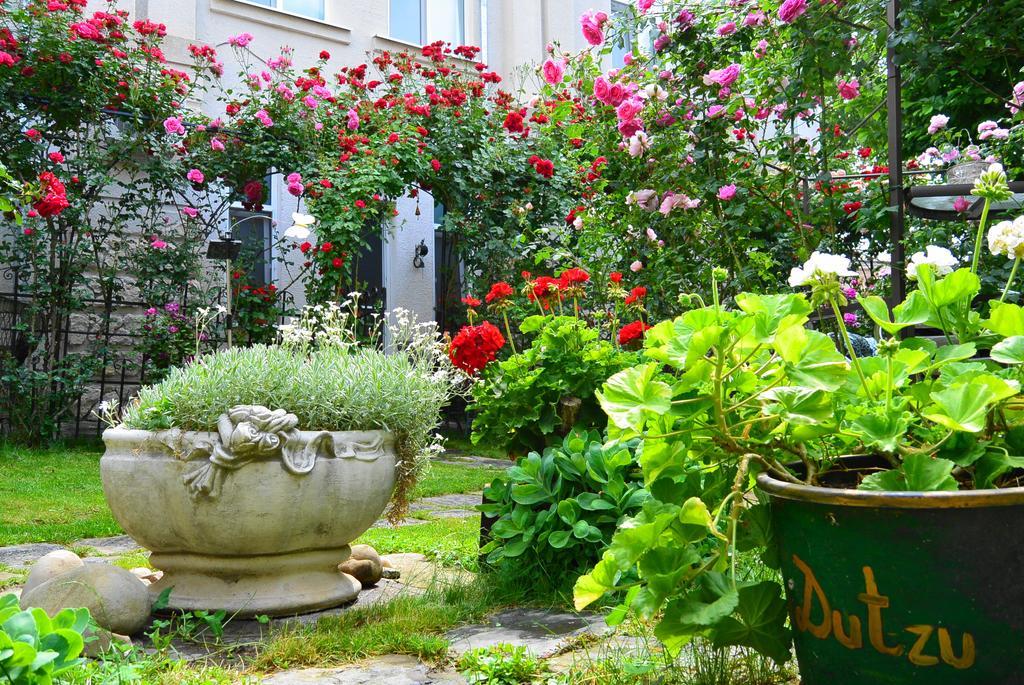 Residenza Dutzu-Boutique Hotel Brăila Kültér fotó