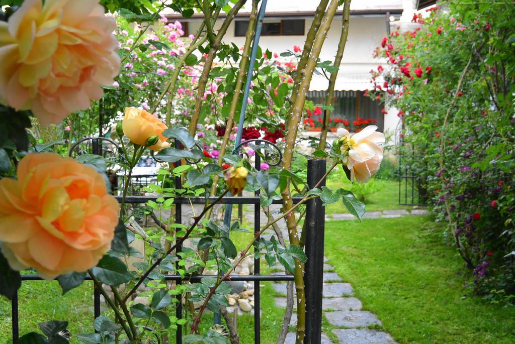 Residenza Dutzu-Boutique Hotel Brăila Kültér fotó